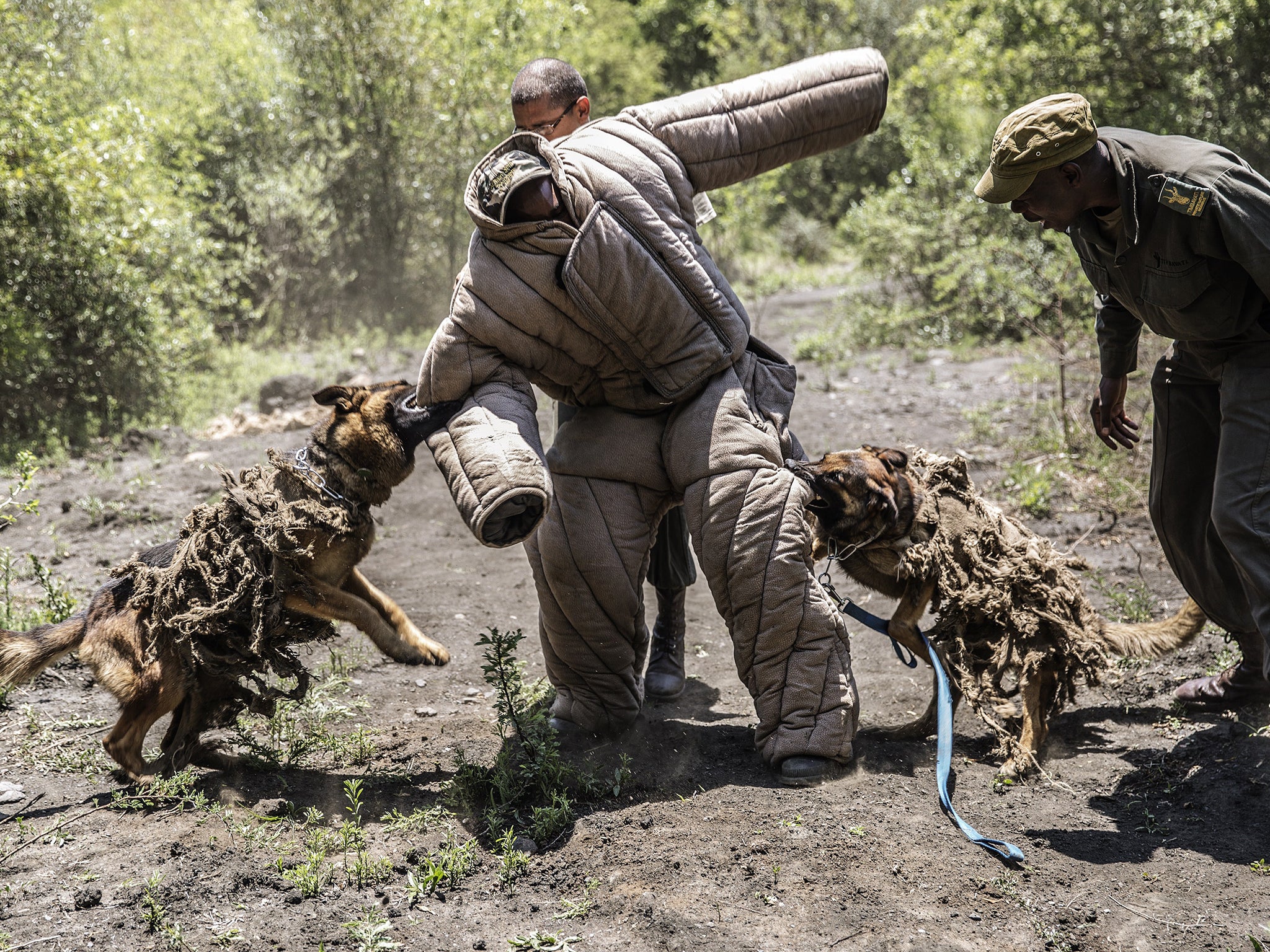 Poachers main image 1